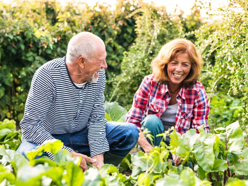 aktivitas ringan yang bisa bakar kalori banyak