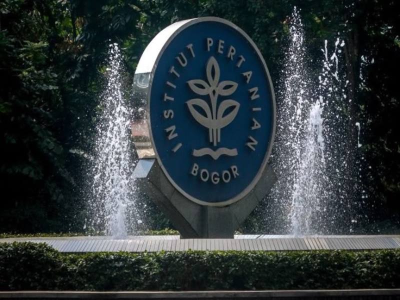 jurusan ipb dengan peluang karir yang gemilang