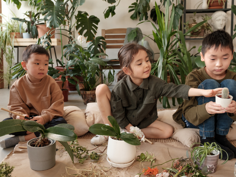 manfaat berkebun untuk anak sejak usia dini