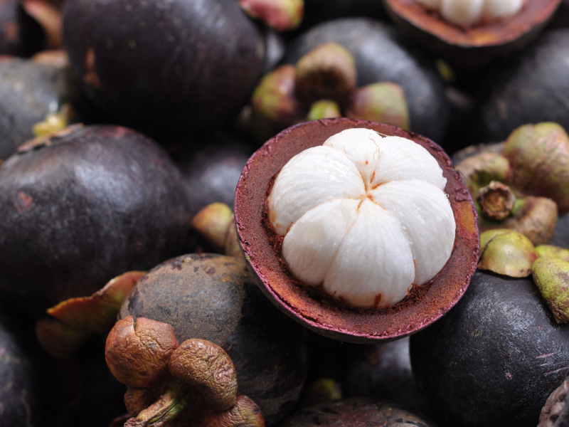 manfaat buah manggis bikin kulit kamu glowing alami