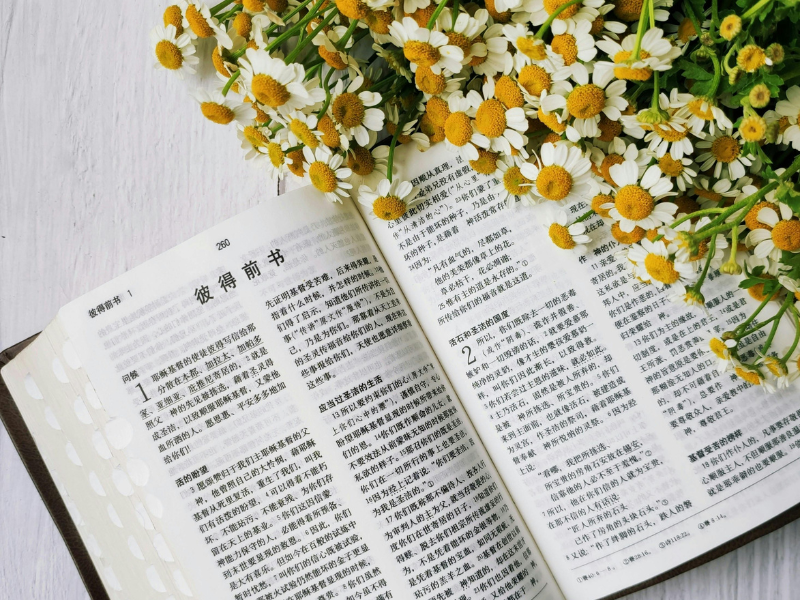 rekomendasi buku bahasa mandarin terbaik untuk pemula