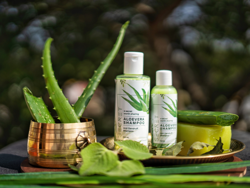 rekomendasi shampo aloe vera untuk perawatan rambut