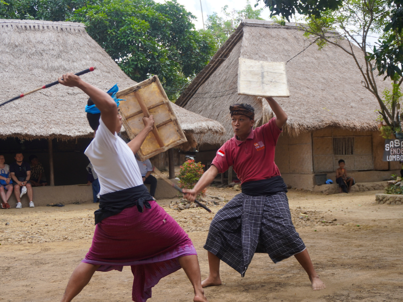 tari peresean warisan budaya lombok yang penuh makna