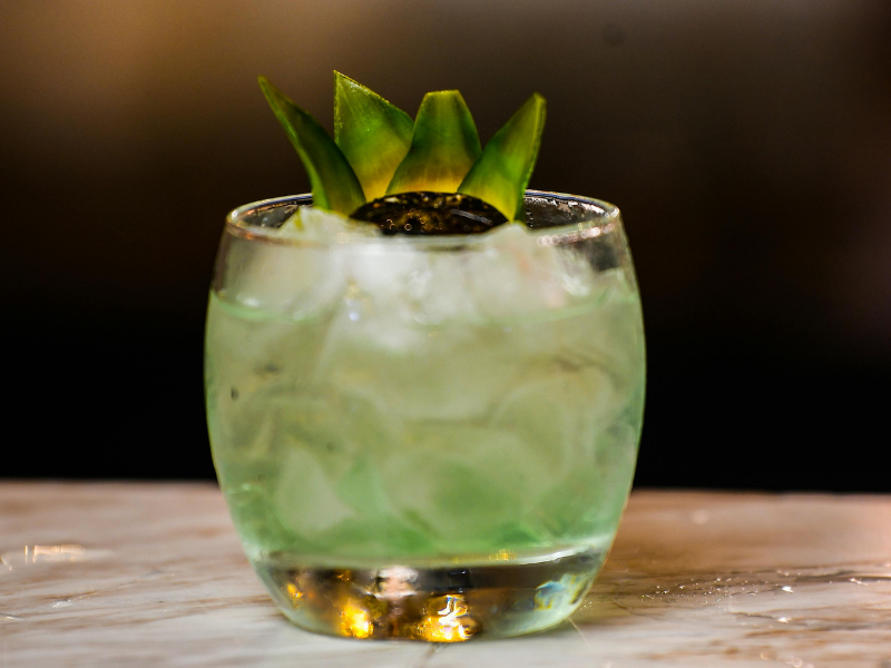 cara membuat koktail lidah buaya yang segar dan menyehatkan