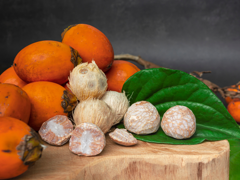 ketahuilah 5 manfaat buah pinang beserta bahayanya