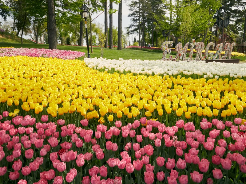 emirgan tulip garden wisata bunga warna warni istanbul