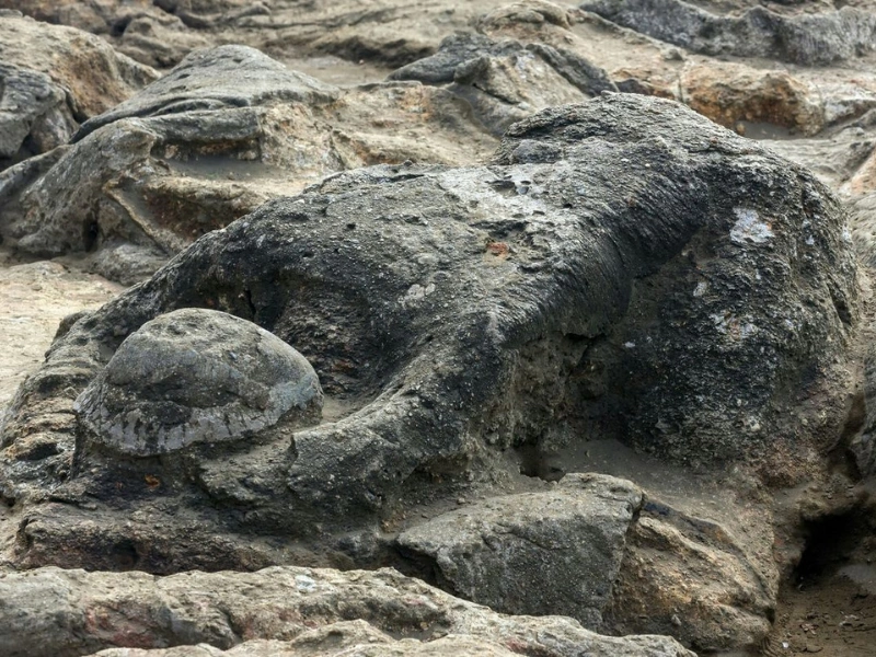 kisah malin kundang legenda anak durhaka