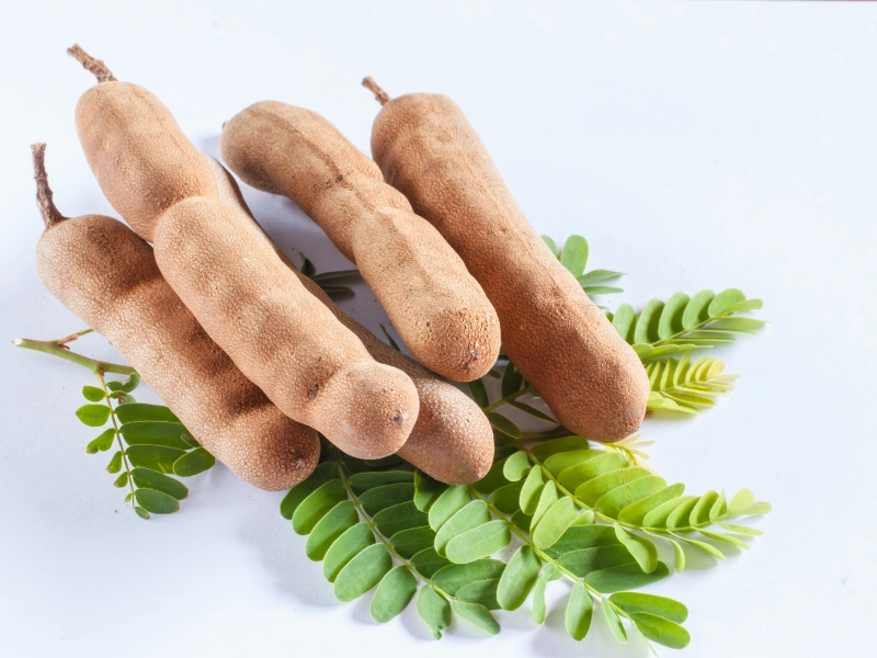 manfaat buah asam jawa untuk kesehatan tubuh