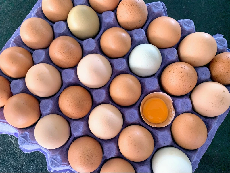 tanda telur rusak dan tak aman lagi untuk dimasak