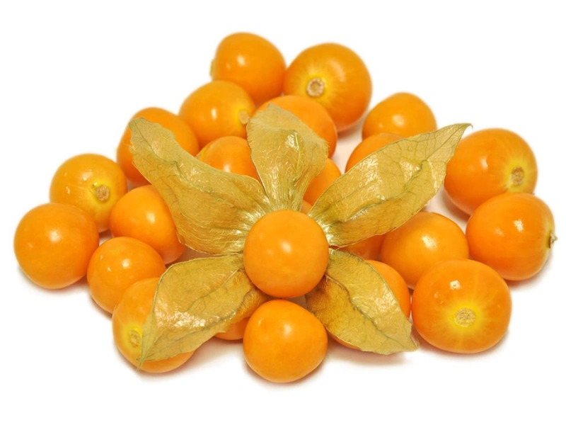 wajib tahu! manfaat buah ciplukan dan cara mengolahnya