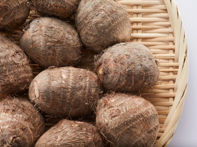 5 manfaat talas (colocasia) dan kandungan nutrisinya