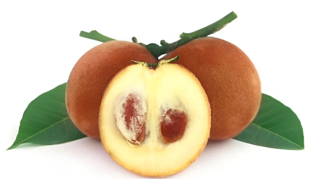 wajib tahu! ini 5 manfaat buah mentega dan kandungan nutrisinya