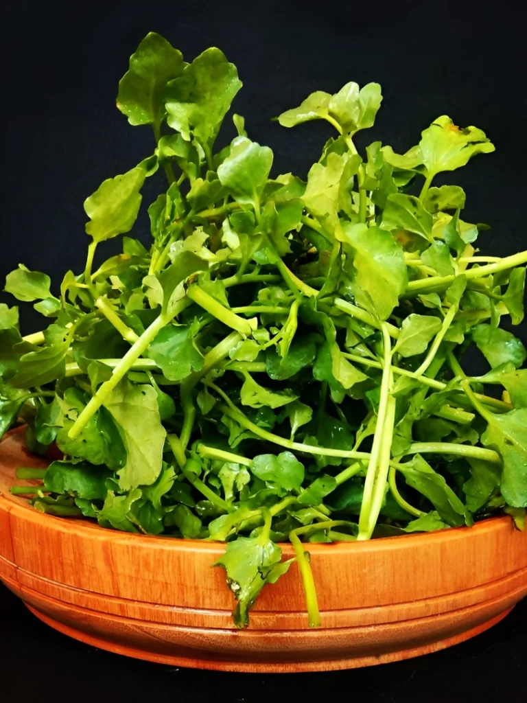 wajib tahu! ini 6 manfaat selada air dan kandungan nutrisinya