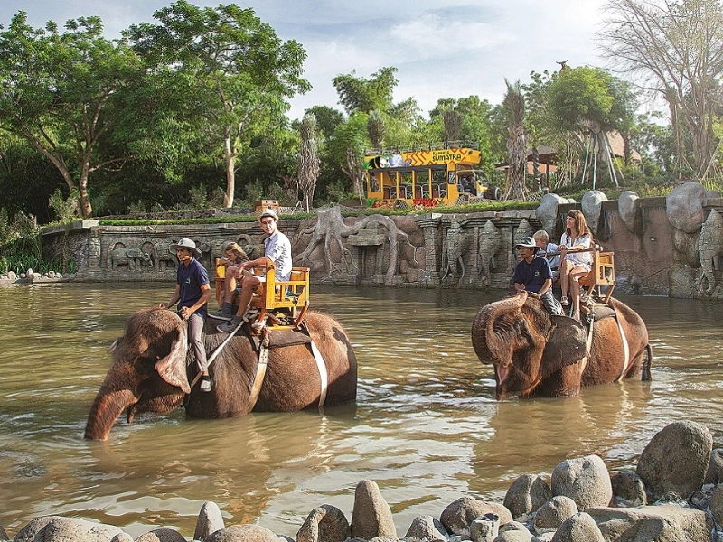 Bali Zoo Hentikan Elephant Riding