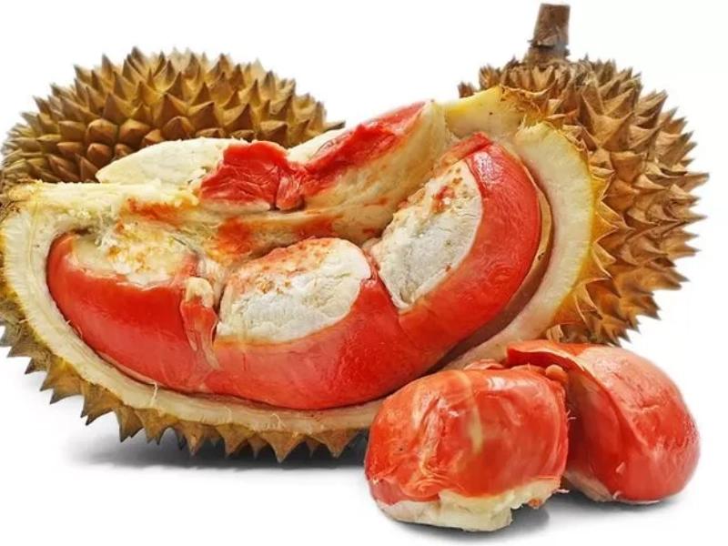 Durian Merah Banyuwangi Indikasi Geografis