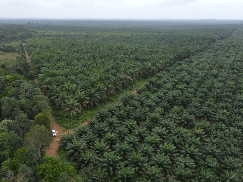 Jabar Tutup Pintu Sawit