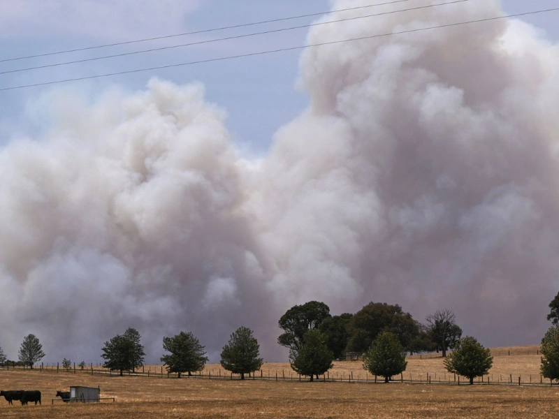 Kebakaran Hutan Victoria