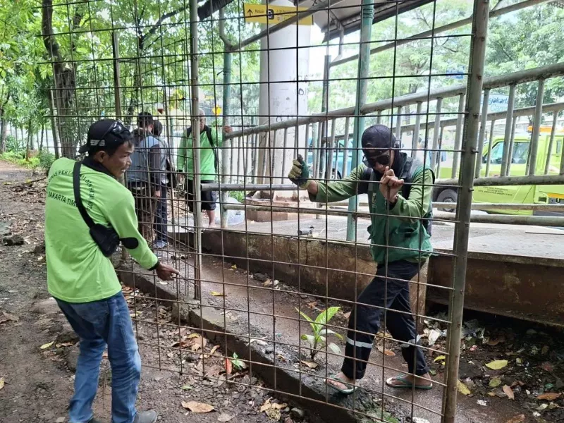 Hutan Kota Cawang Sarang Asusila