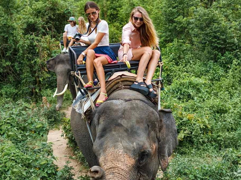 Larang Elephant Riding