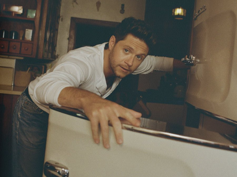 Dinner Party Niall Horan