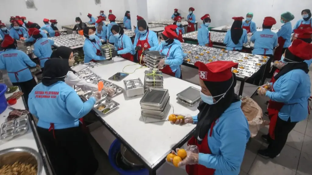 menu mbg lele mentah