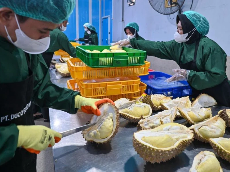 Ekspor Durian Beku China