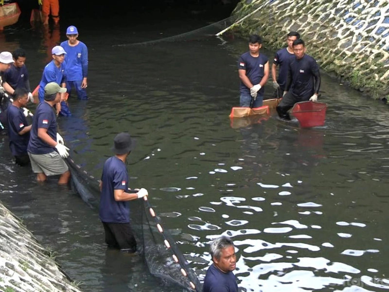 Ikan Sapu-sapu Kali Depan Plaza Indonesia
