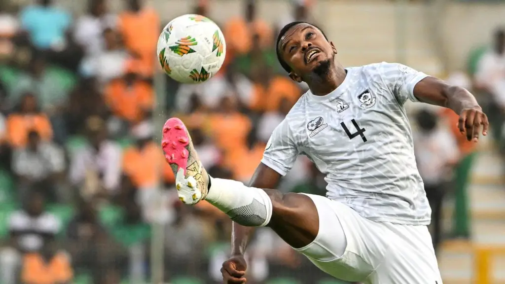 timnas afrika selatan