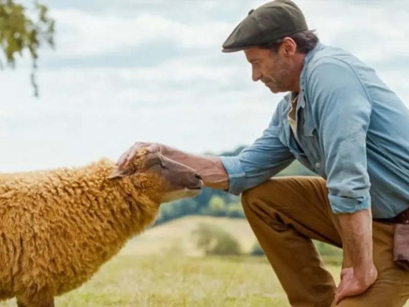 The Sheep Detectives 2026