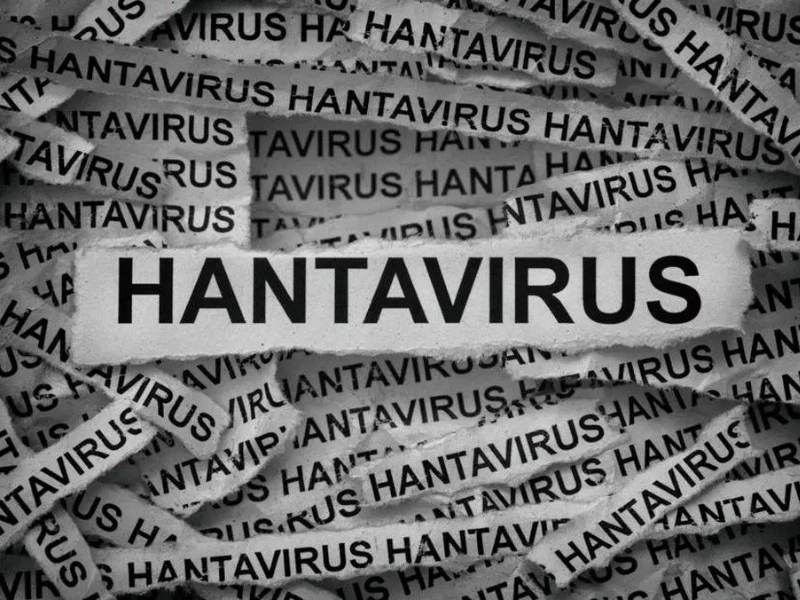 Virus Hanta Kapal Pesiar