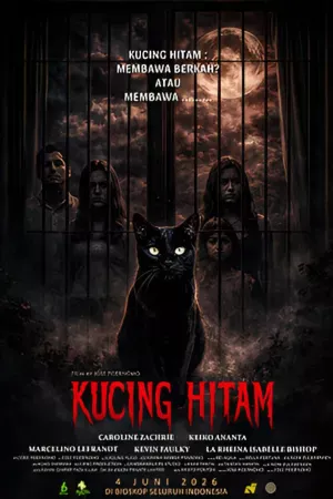 Film Kucing Hitam Tayang