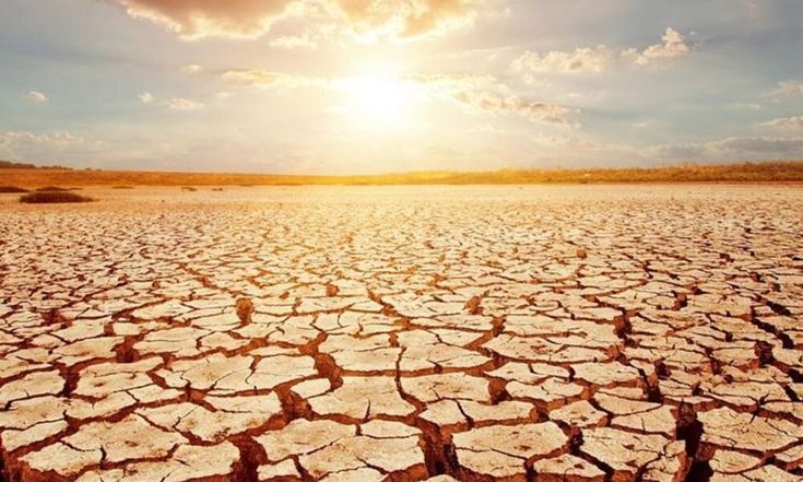 Puncak Musim Kemarau Juli 2026 Dimulai, BMKG Ungkap Wilayah yang Harus Waspada