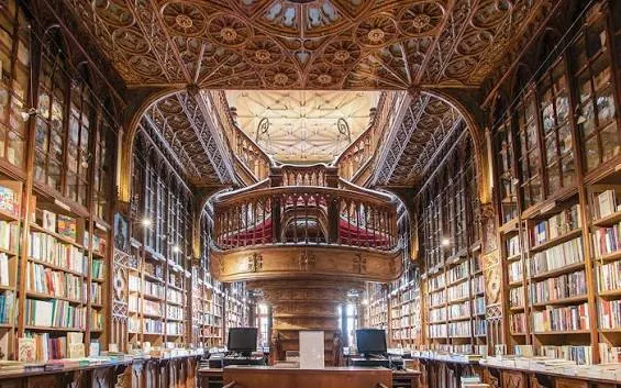 Dua Lipa Manifesto Library