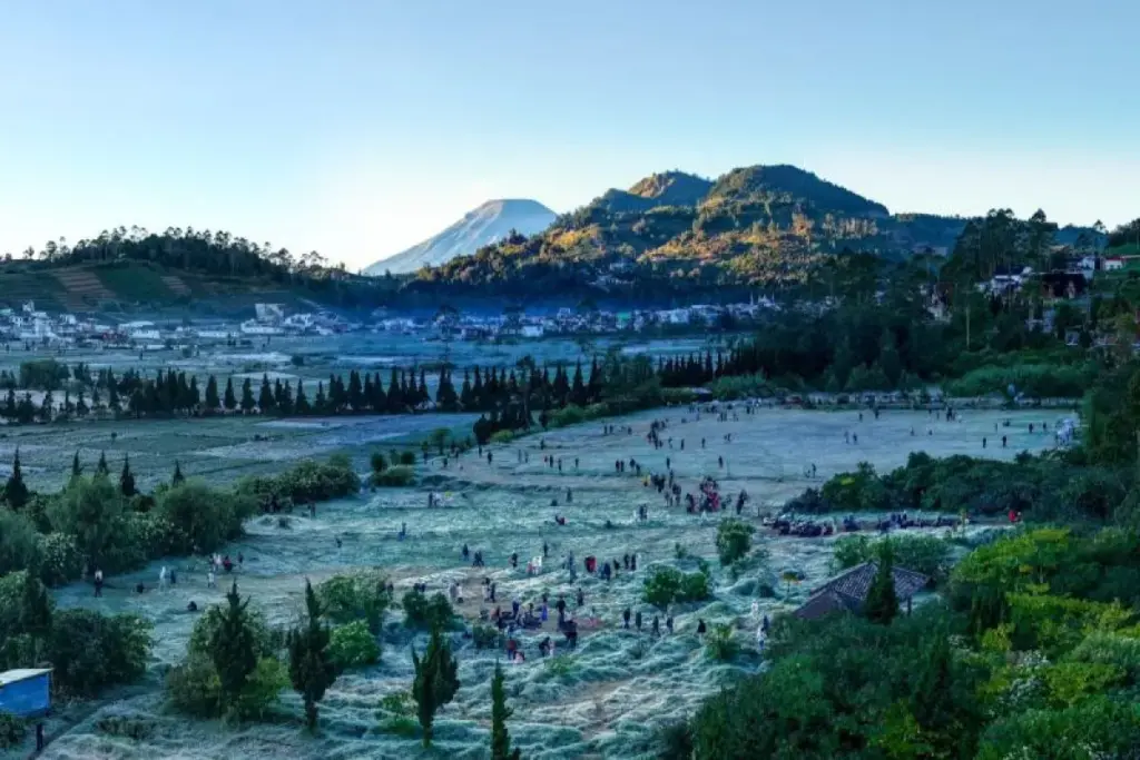 Fenomena Embun Upas Dieng