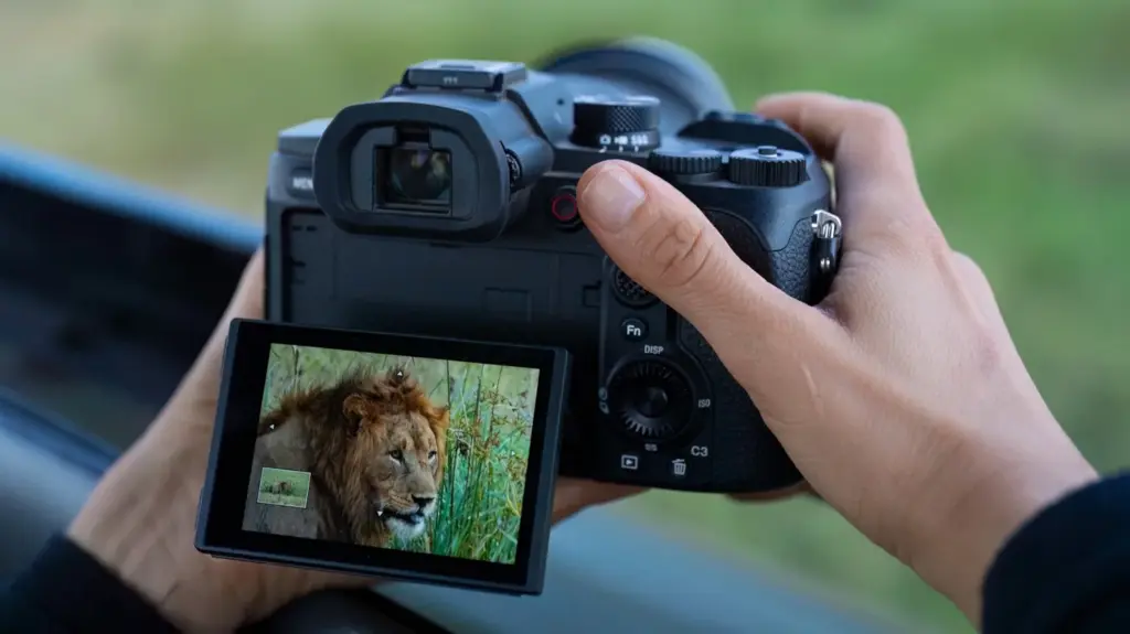 Sony RX10 V Resmi