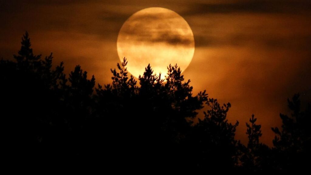 Strawberry Moon Hiasi Langit Dunia, Ini Fakta di Balik Bulan Purnama yang Viral