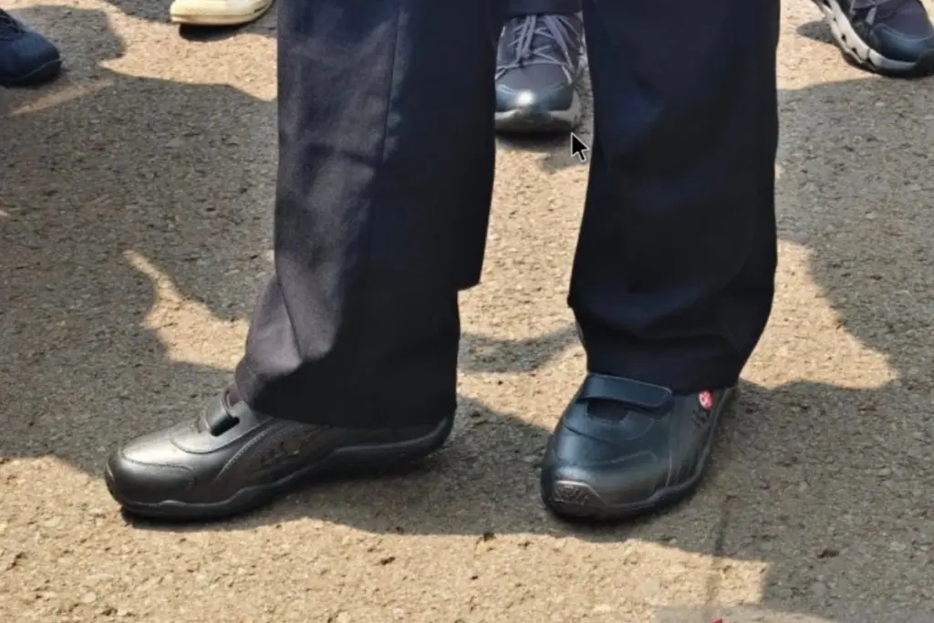 BRIN Sepatu Lokal