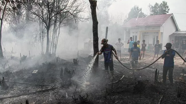 sanksi perusahaan karhutla