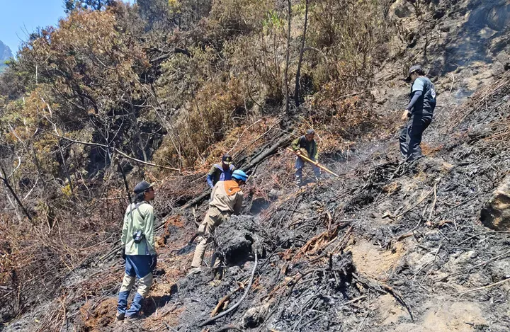 Kebakaran Gunung Gede