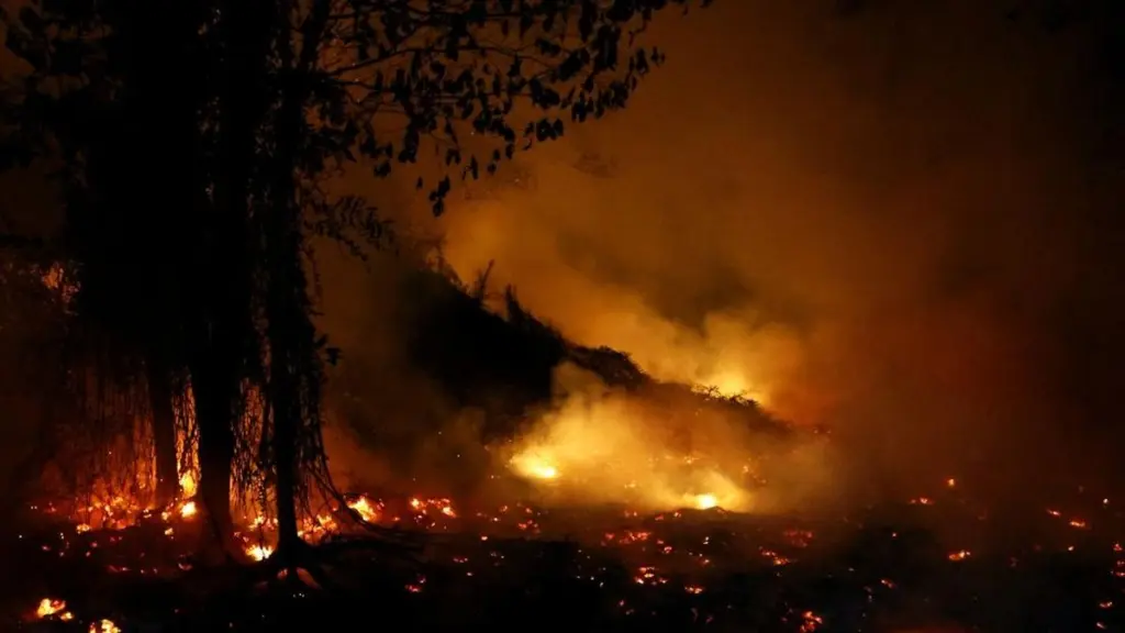 Kebakaran Kalimantan