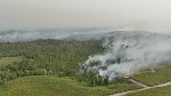 Pesawat Asing dari 8 Negara Bantu Tangani Karhutla Indonesia, Ini Daftarnya