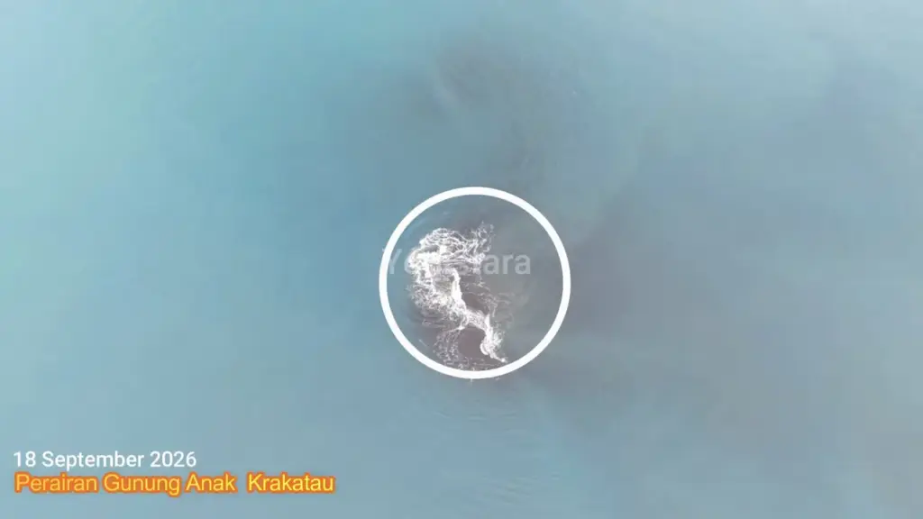 Daratan Baru Anak Krakatau