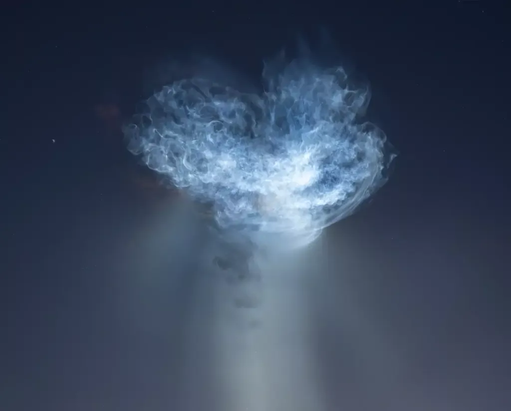 Space Jellyfish